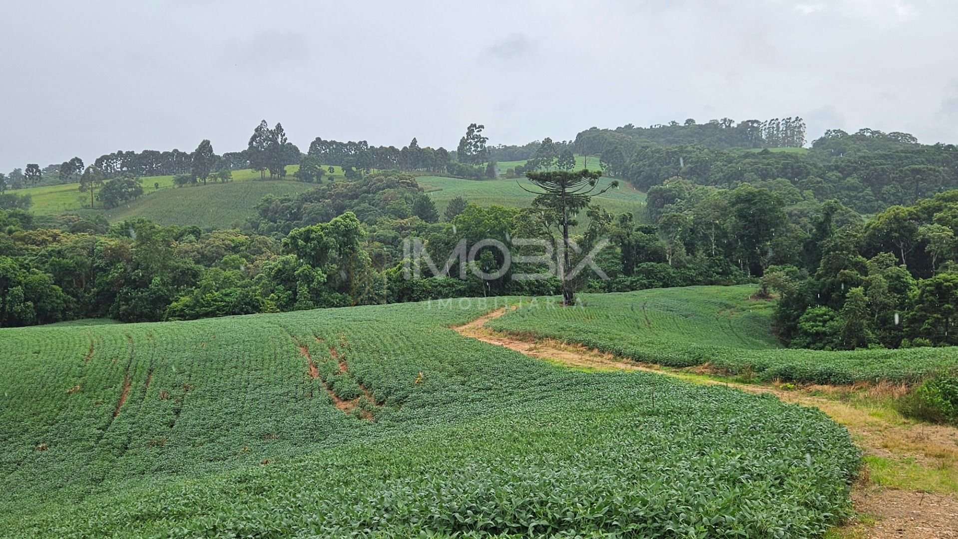 Chácara à venda, 79000 m  por R  1.230.000  - Preço abaixo do ...