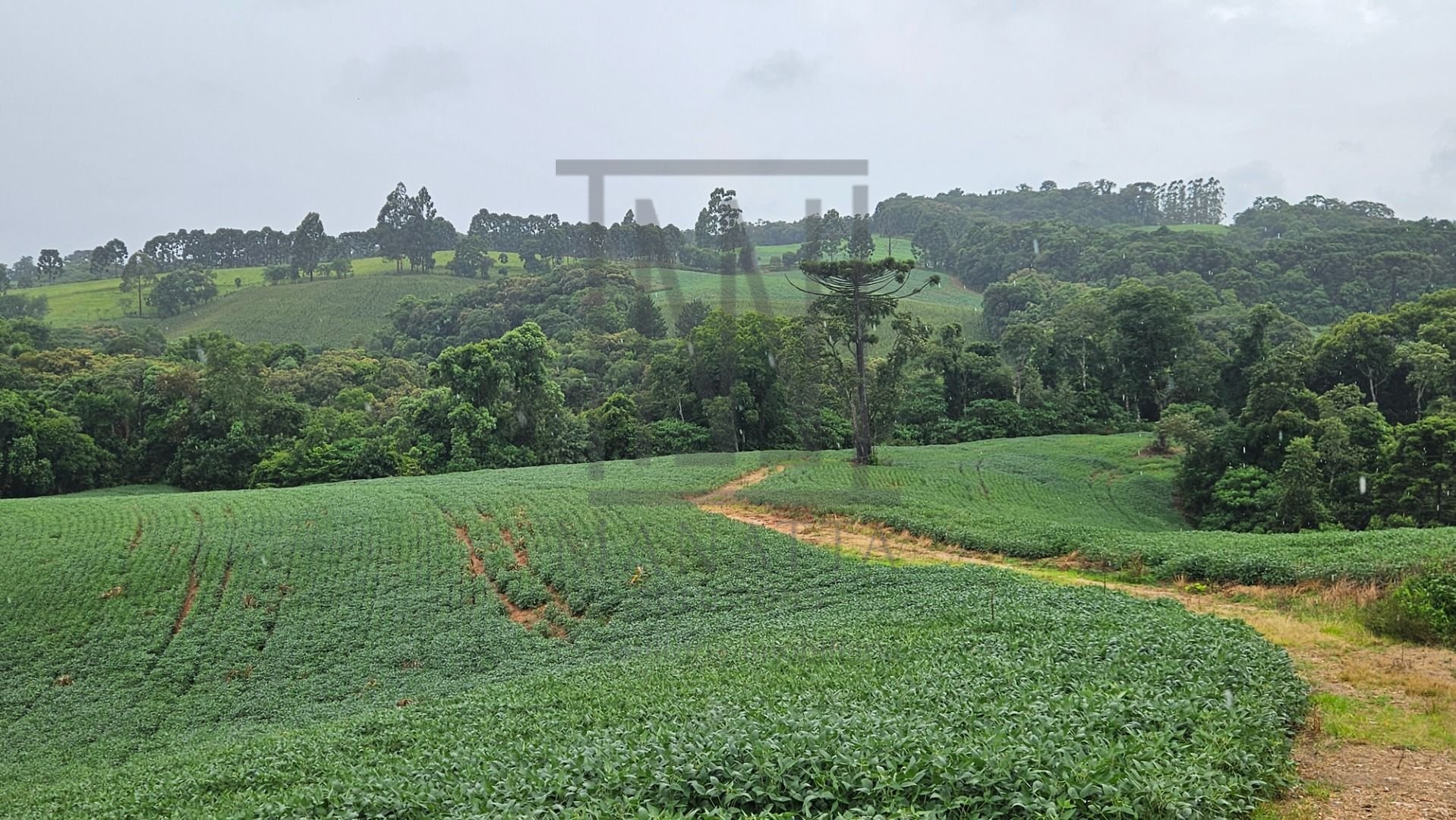 Chácara à venda, 79000 m  por R  1.230.000  - Preço abaixo do ...