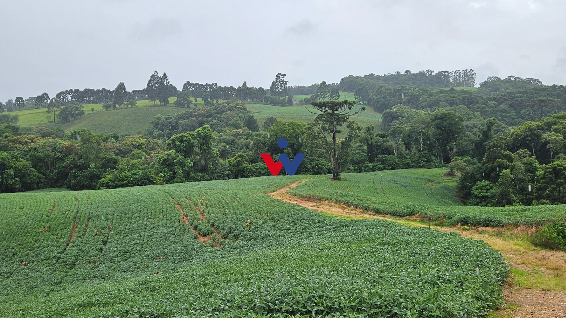 Chácara à venda, 79000 m  por R  1.230.000  - Preço abaixo do ...