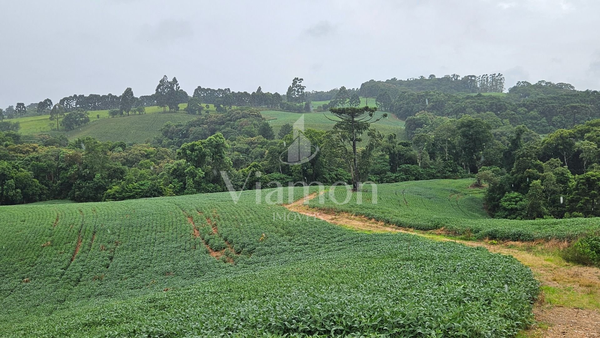 Chácara à venda, 79000 m  por R  1.230.000  - Preço abaixo do ...