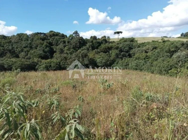 Terreno à venda, 10500 m  por R  320.000,00 - Centro - Contend...
