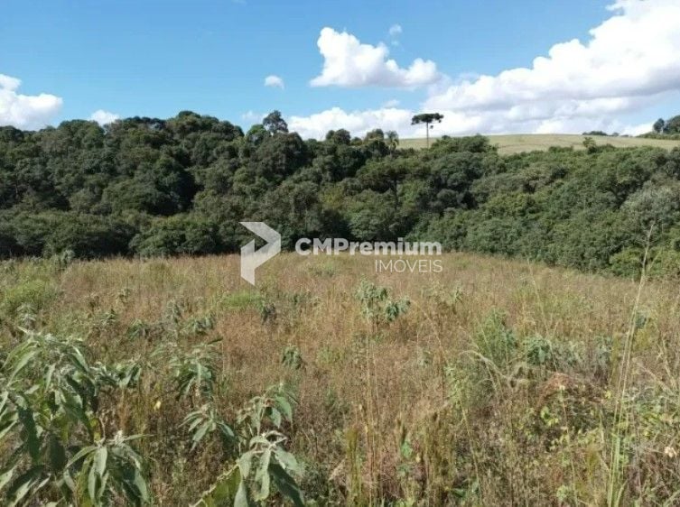 Terreno à venda, 10500 m  por R  320.000,00 - Centro - Contend...