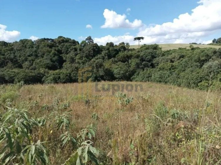 Terreno à venda, 10500 m  por R  320.000,00 - Centro - Contend...