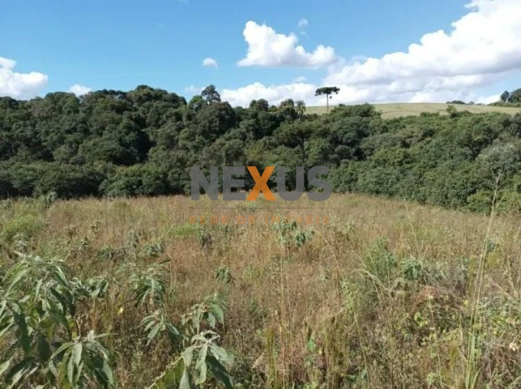 Terreno à venda, 10500 m  por R  320.000,00 - Centro - Contend...