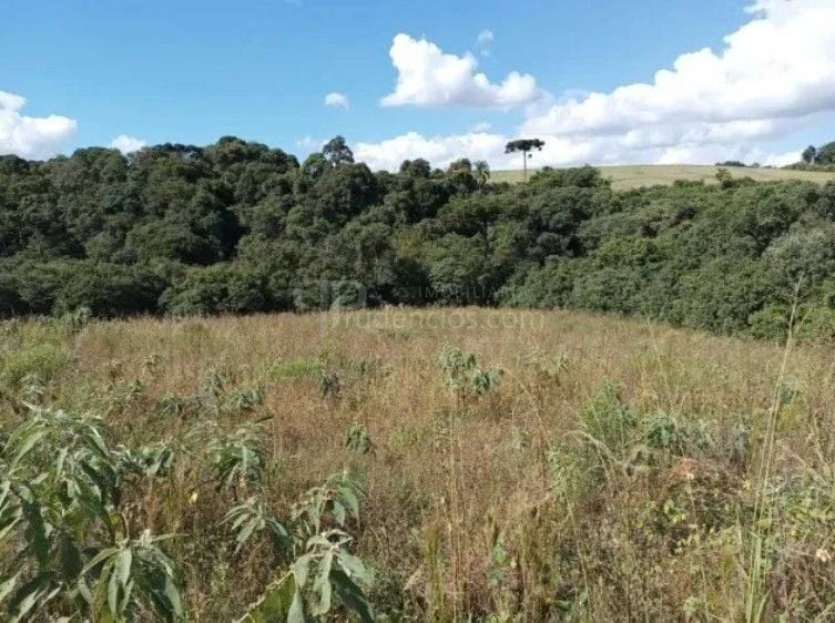 Terreno à venda, 10500 m  por R  320.000,00 - Centro - Contend...