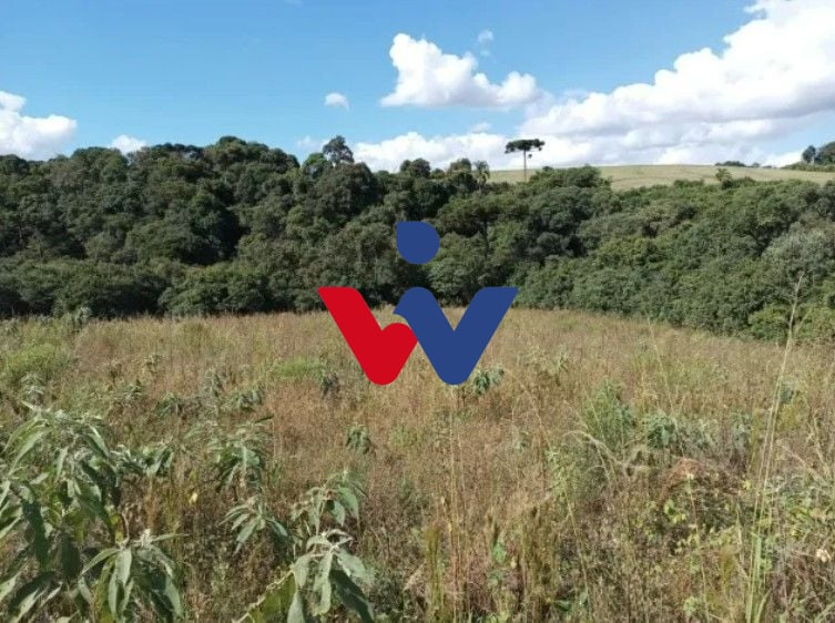 Terreno à venda, 10500 m  por R  320.000,00 - Centro - Contend...
