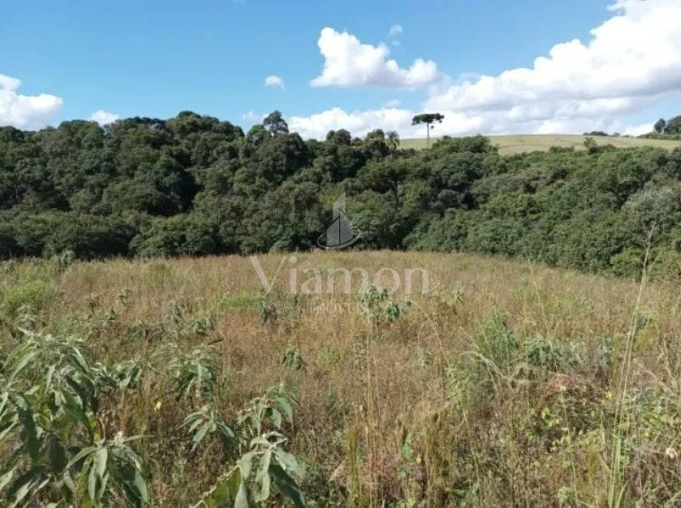 Terreno à venda, 10500 m  por R  320.000,00 - Centro - Contend...
