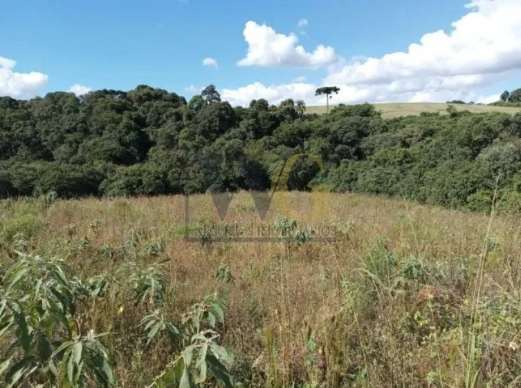 Terreno à venda, 10500 m  por R  320.000,00 - Centro - Contend...