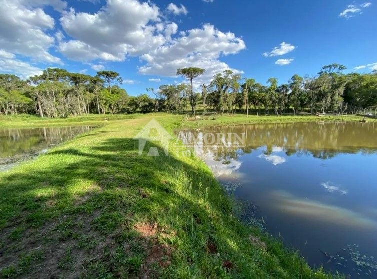 Chácara com 3 dormitórios à venda, 29328 m  por R  1.500.000,0...