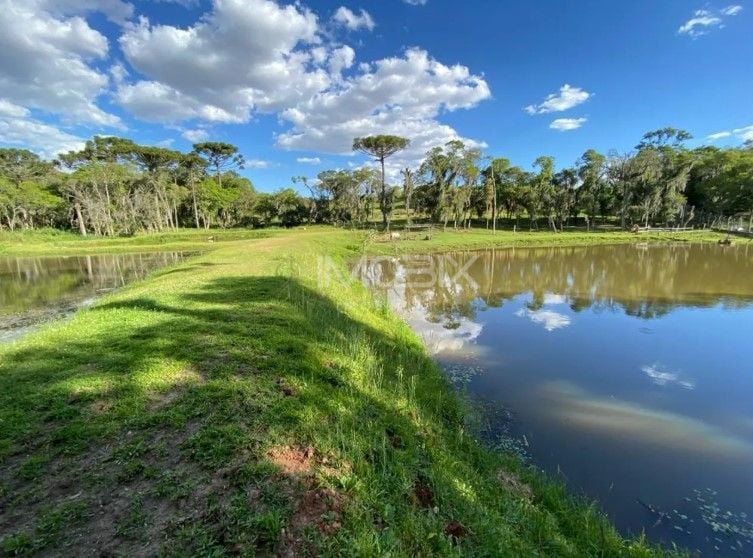 Chácara com 3 dormitórios à venda, 29328 m  por R  1.500.000,0...