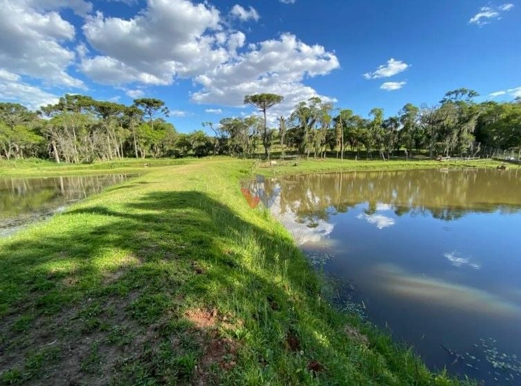Chácara com 3 dormitórios à venda, 29328 m  por R  1.500.000,0...