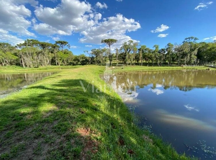 Chácara com 3 dormitórios à venda, 29328 m  por R  1.500.000,0...