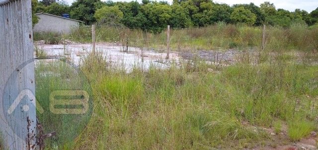 Terreno à venda, 960 m  por R  860.000,00 - Campo Pequeno - Co...