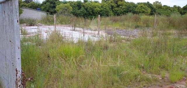 Terreno à venda, 960 m  por R  860.000,00 - Campo Pequeno - Co...