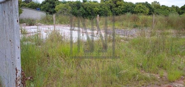 Terreno à venda, 960 m  por R  860.000,00 - Campo Pequeno - Co...