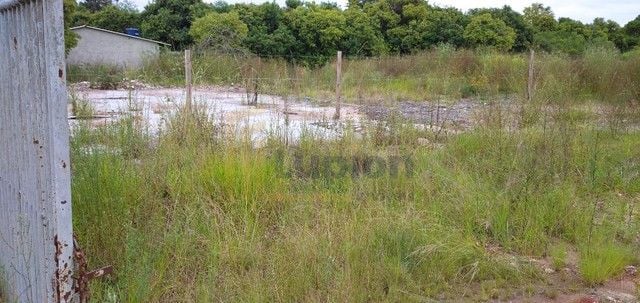 Terreno à venda, 960 m  por R  860.000,00 - Campo Pequeno - Co...