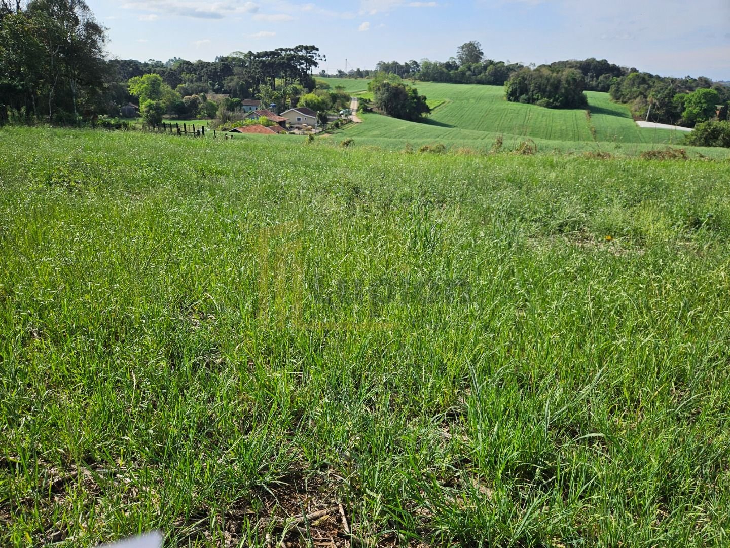Chácara em Araucária  Refúgio de Lazer ou Moradia Próxima à Ci...