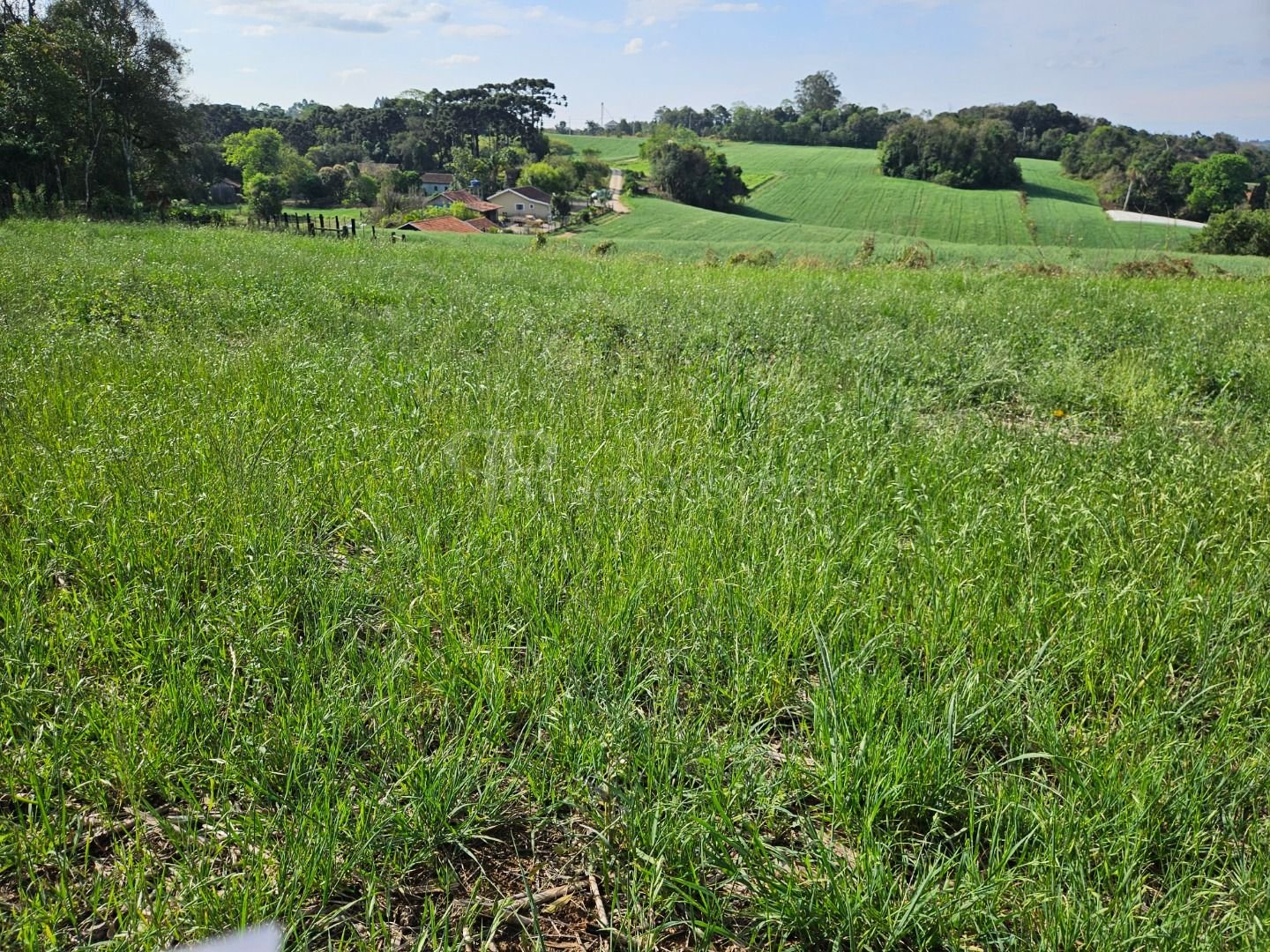Chácara em Araucária  Refúgio de Lazer ou Moradia Próxima à Ci...
