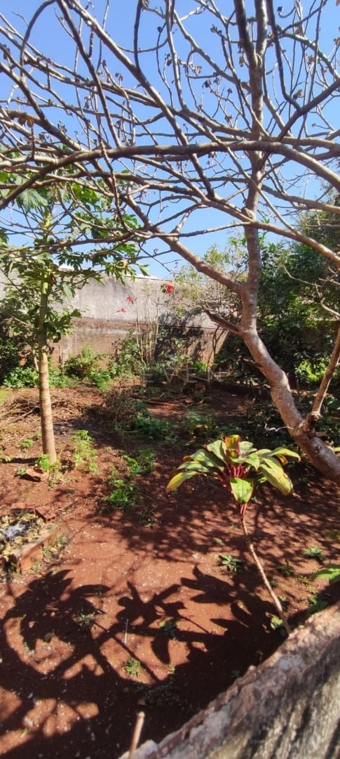 Casa com 2 dormitórios à venda, 50 m  por R  180.000,00 - Parq...