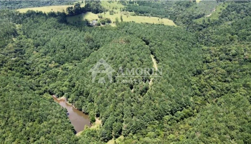 Fazenda com 3 dormitórios à venda, 1116000 m  por R  9.000.000...