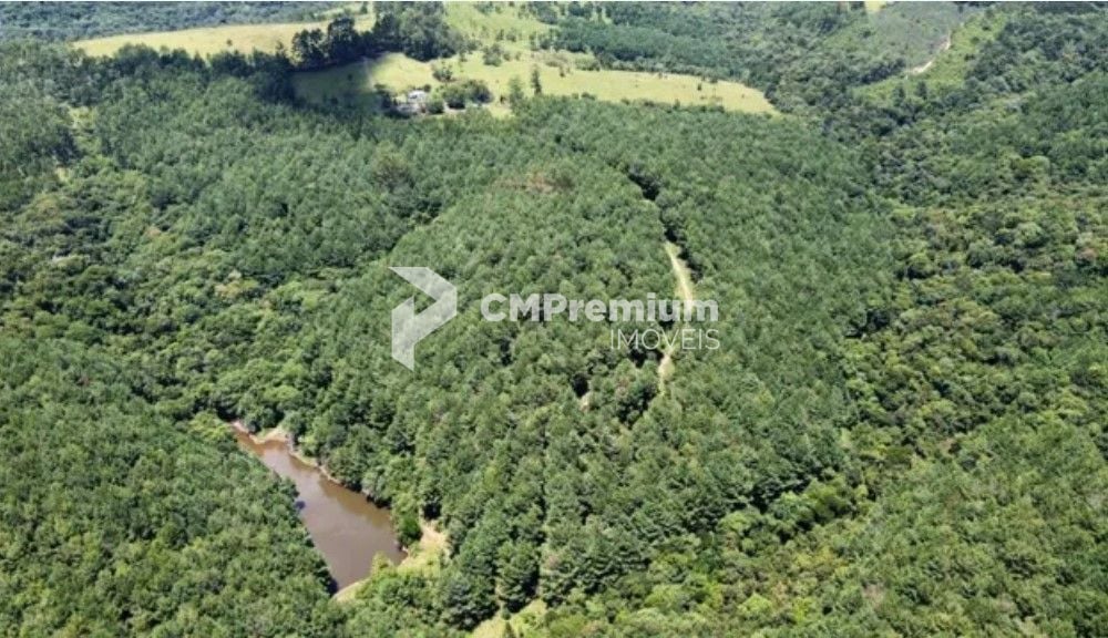 Fazenda com 3 dormitórios à venda, 1116000 m  por R  9.000.000...