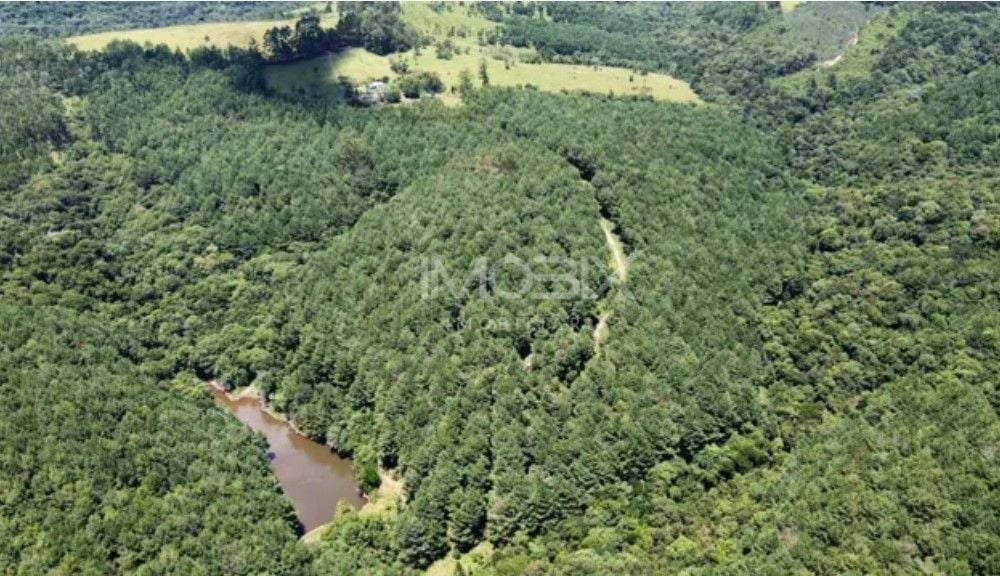 Fazenda com 3 dormitórios à venda, 1116000 m  por R  9.000.000...
