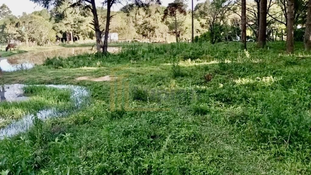 Chácara de 22.290m  em Campo Largo  Refúgio no Campo com Fácil...