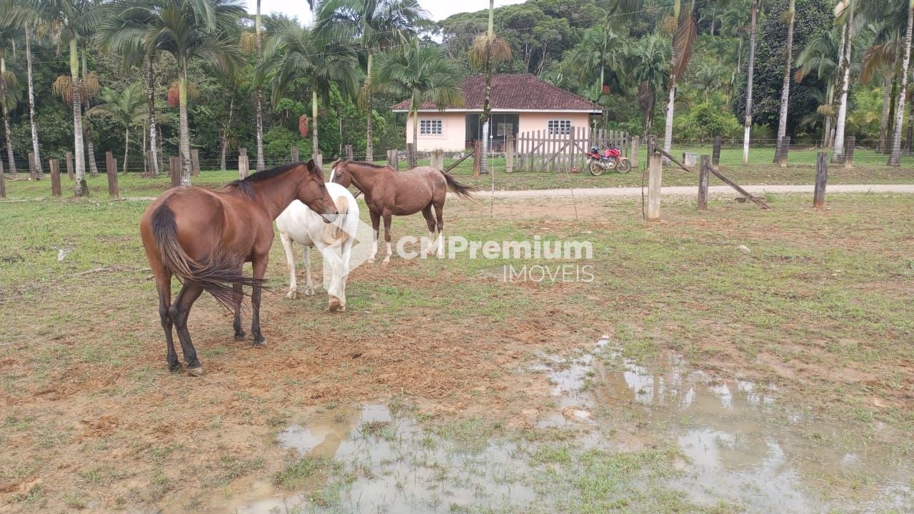Área à venda, 331340 m  por R  2.650.000,00 - Serra Negra  - G...