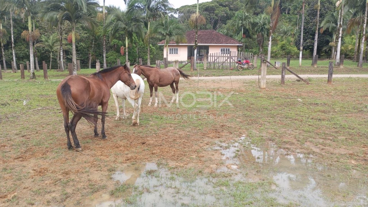 Área à venda, 331340 m  por R  2.650.000,00 - Serra Negra  - G...
