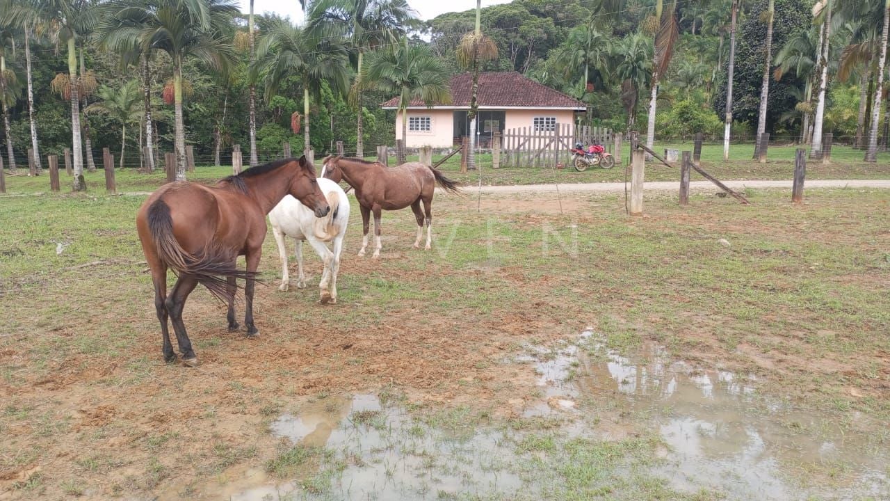 Área Rural à Venda em Guaraqueçaba  38,80 ha, 14 alqueires de ...