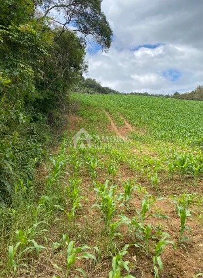 Chácara à venda, 94682 m  por R  1.350.000,00 - Zona Rural - T...
