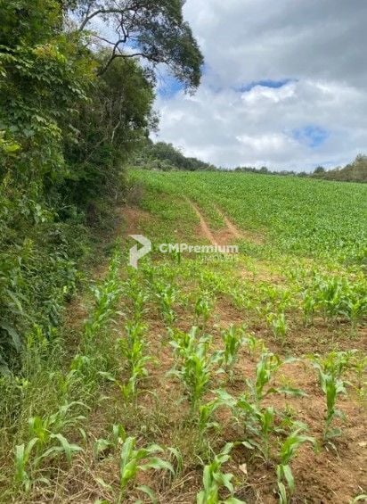 Chácara à venda, 94682 m  por R  1.350.000,00 - Zona Rural - T...