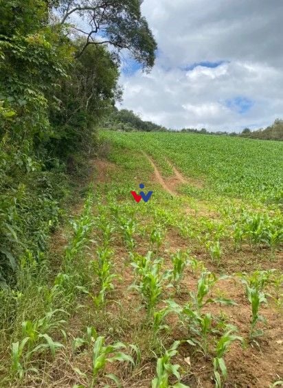 Chácara à venda, 94682 m  por R  1.350.000,00 - Zona Rural - T...