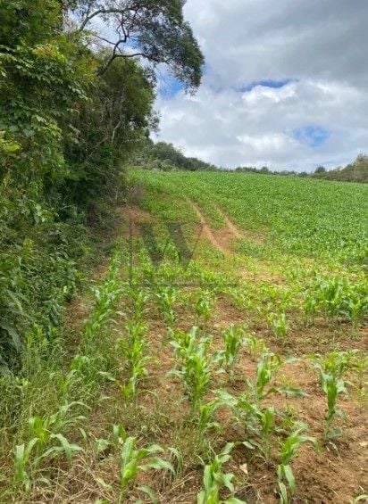 Chácara à venda, 94682 m  por R  1.350.000,00 - Zona Rural - T...