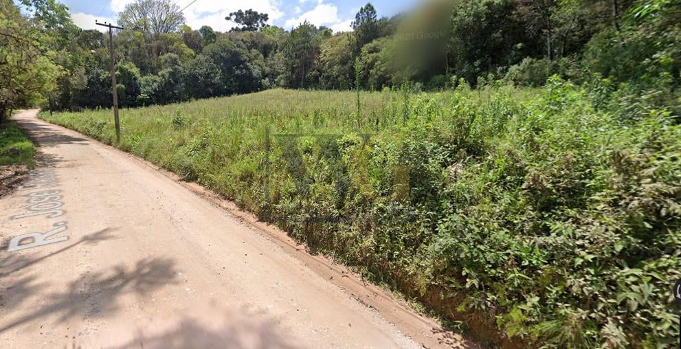 Terreno à venda, Ferraria - Campo Largo, CAMPO LARGO - PR