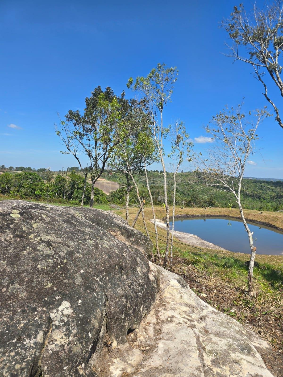 Chácara à Venda em São Luiz do Purunã  Balsa Nova PR Detalhes...