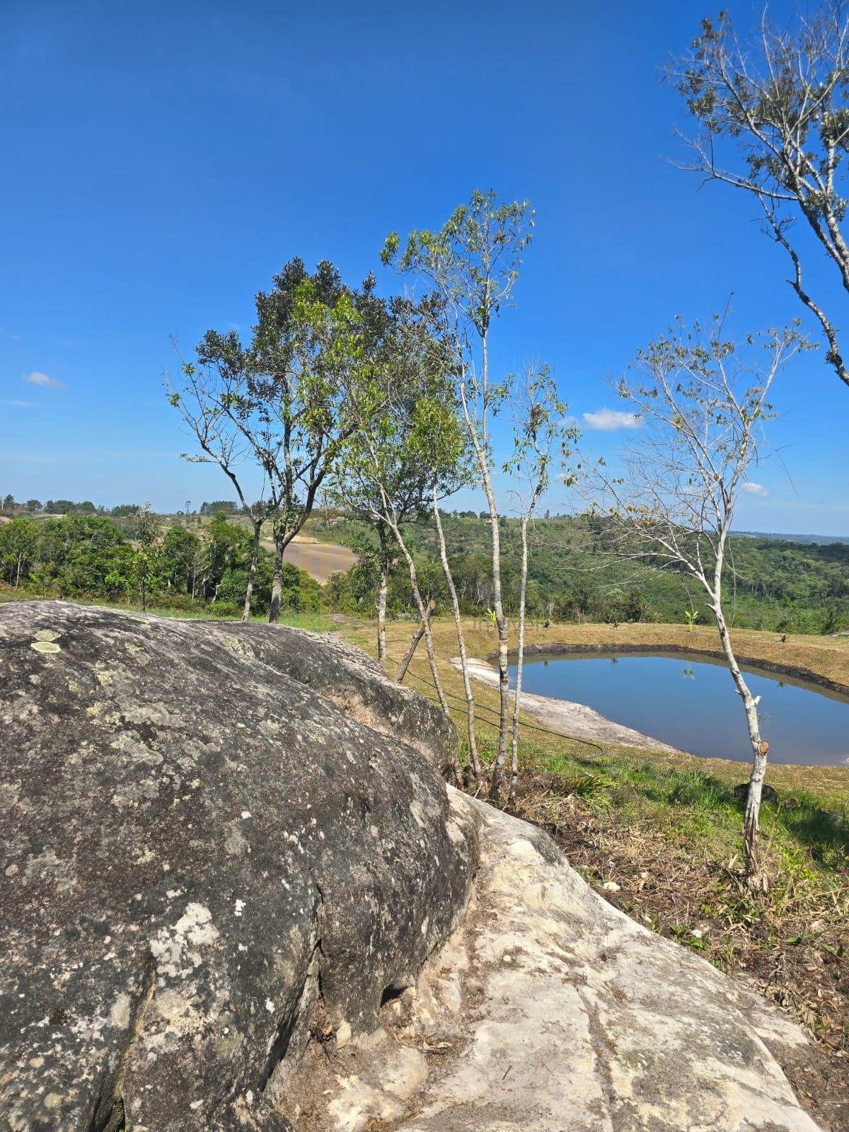 Chácara à Venda em São Luiz do Purunã  Balsa Nova PR Detalhes...