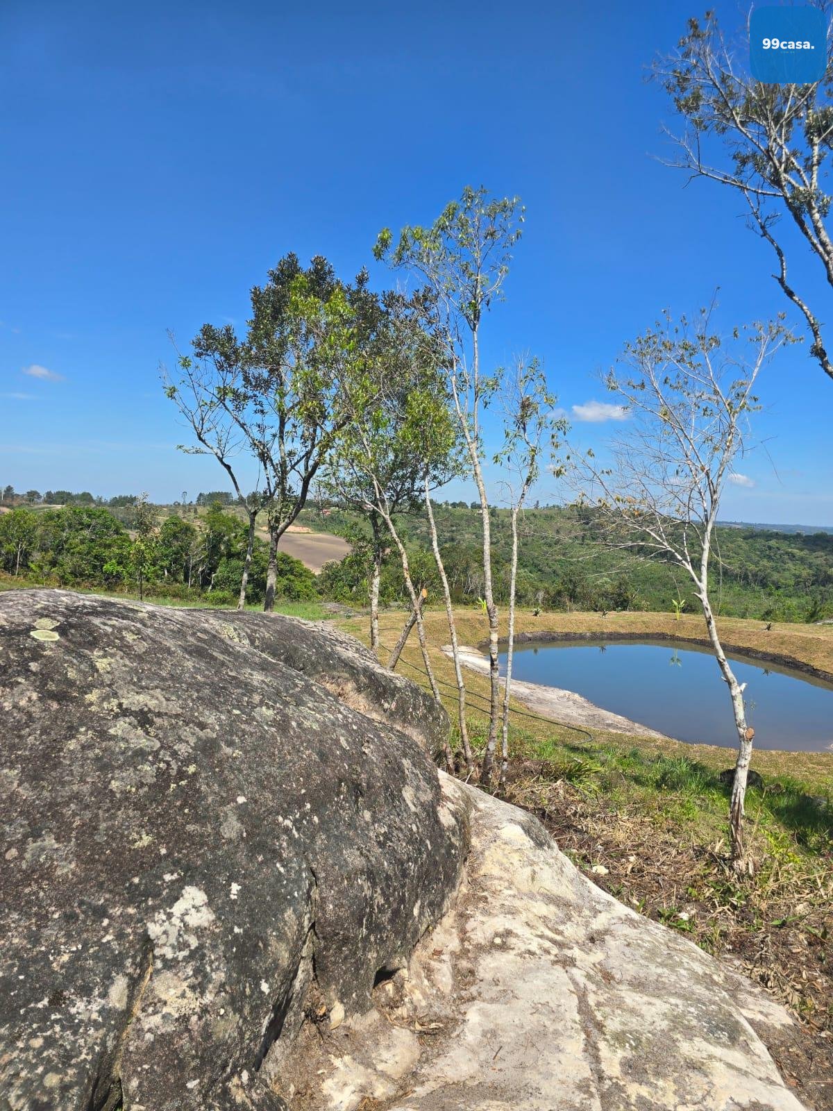 Chácara à Venda em São Luiz do Purunã  Balsa Nova PR Detalhes...