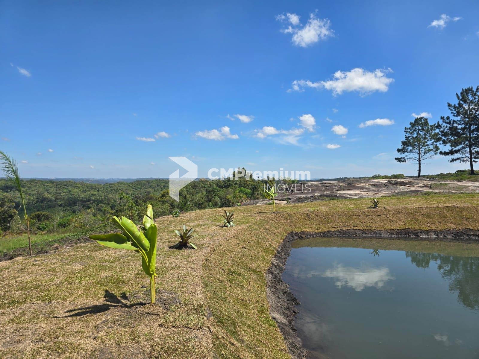 Chácara à Venda em São Luiz do Purunã  Balsa Nova PR Detalhes...