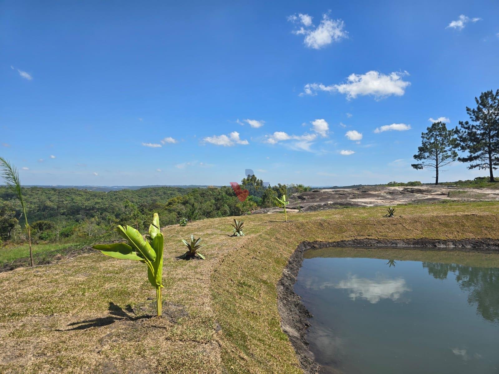 Chácara à Venda em São Luiz do Purunã  Balsa Nova PR Detalhes...