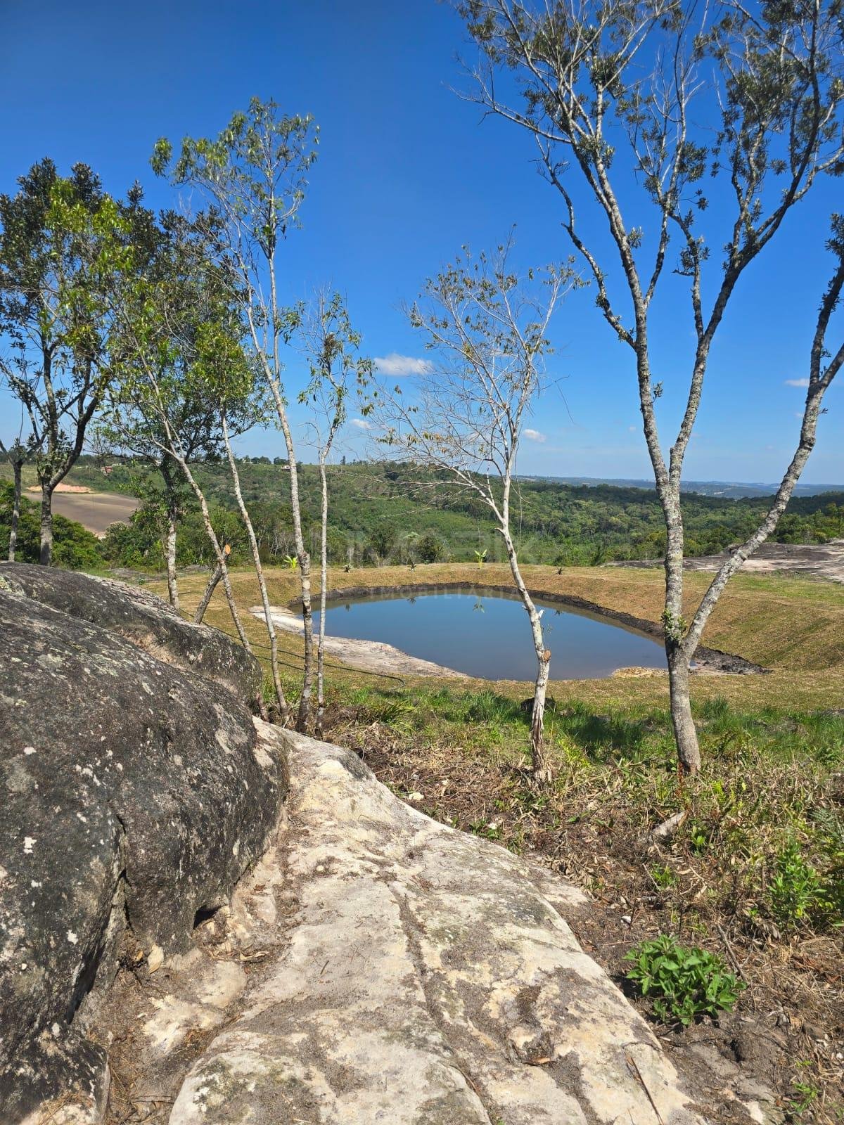 Chácara à Venda em São Luiz do Purunã  Balsa Nova PR Detalhes...
