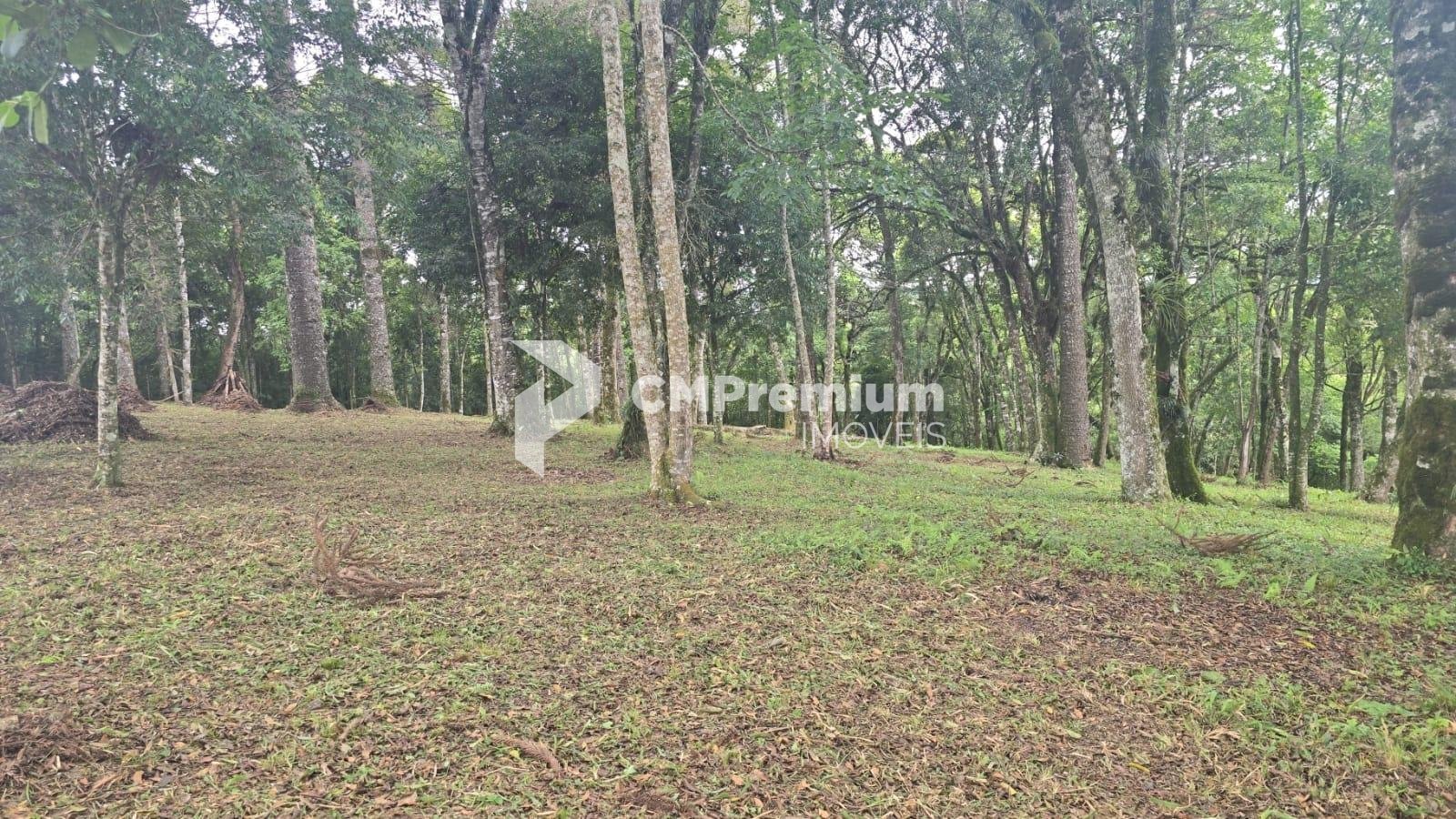 Terreno Urbano à Venda no Bairro São Caetano  Balsa Nova PR