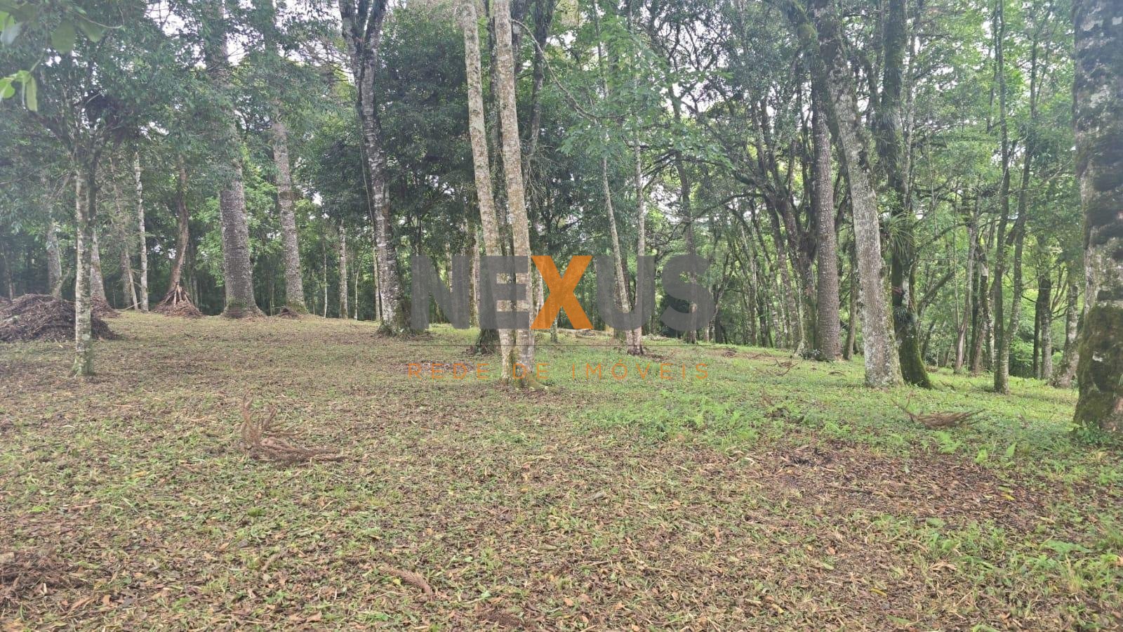 Terreno Urbano à Venda no Bairro São Caetano  Balsa Nova PR