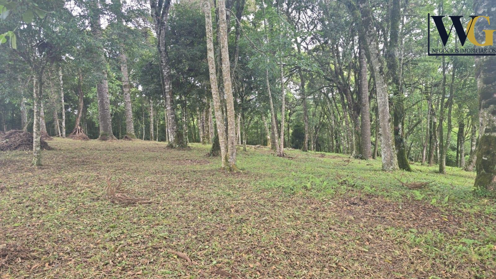 Sobrado com 2 dormit?rios ? venda, 80 m  por R  320.000,00 - S...
