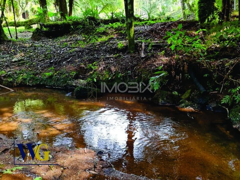 Chácara à Venda no Bairro Três Córregos - Campo Largo PR