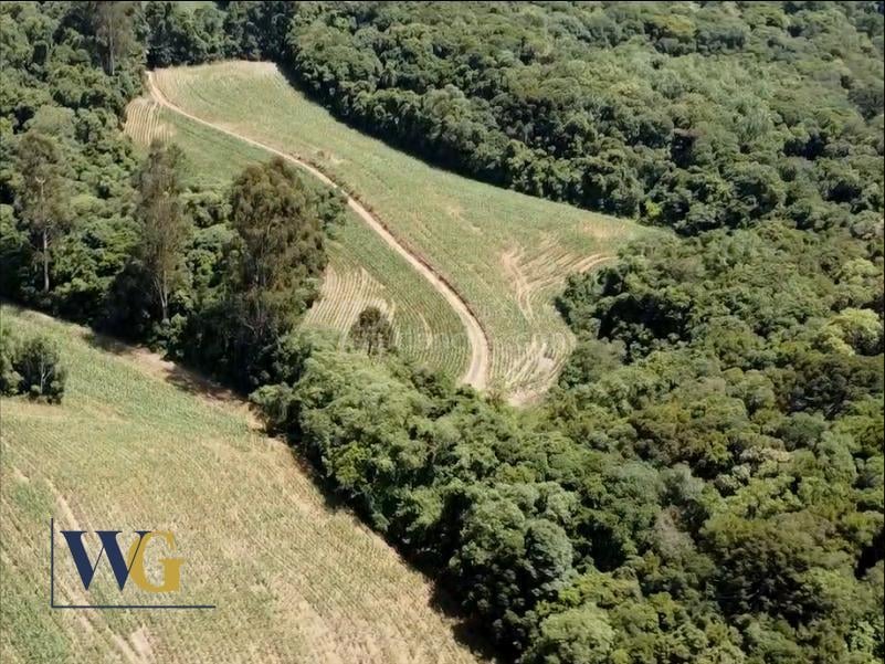 Chácara à Venda  Colônia Balbino Cunha, Campo Largo PR