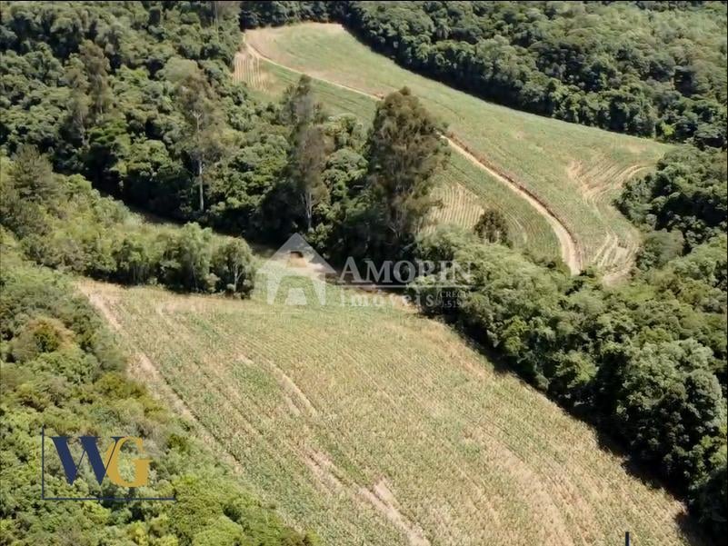 Chácara à Venda no Bairro Colônia Balbino Cunha  Campo Largo ...