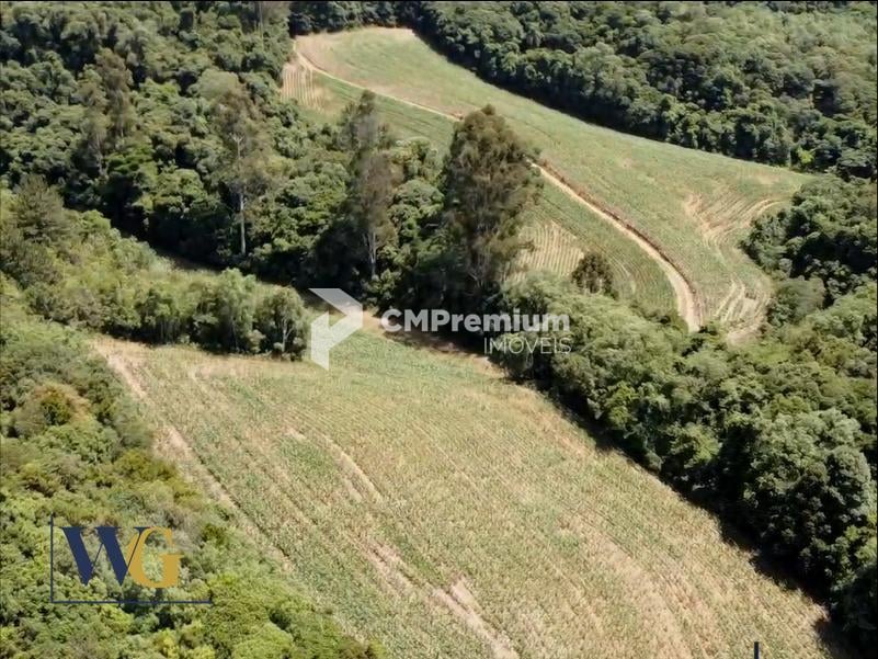 Chácara à Venda no Bairro Colônia Balbino Cunha  Campo Largo ...