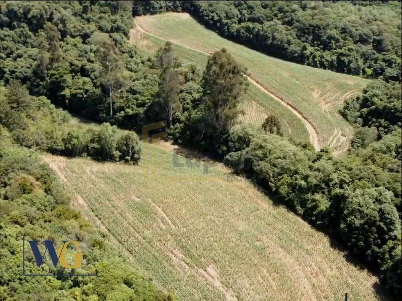 Chácara à Venda no Bairro Colônia Balbino Cunha  Campo Largo ...