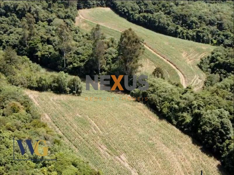 Chácara à Venda no Bairro Colônia Balbino Cunha  Campo Largo ...